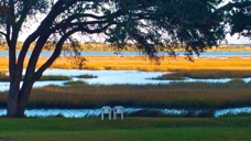 20161221_164929.jpg 20161221_164929.jpg