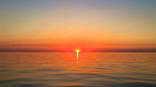 IMG_2490.jpg