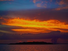 P1010311-1.jpg