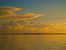 P1019670-1.jpg
